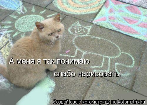 А меня я так понимаю слабо нарисовать!... Котоматрица: А меня я так понимаю слабо нарисовать!