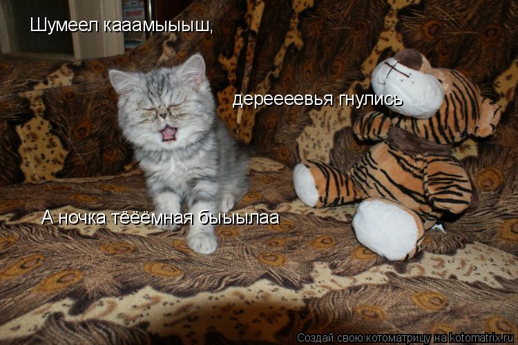 Шумеел кааамыыыш, дереееевья гнулись А ночка тёёёмная быыылаа... Котоматрица: Шумеел кааамыыыш, дереееевья гнулись А ночка тёёёмная быыылаа