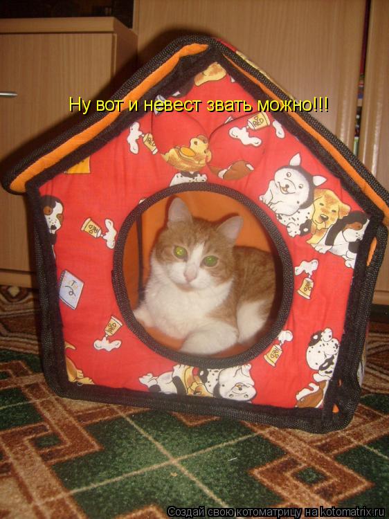 Ну вот и невест звать можно!!!... Котоматрица: Ну вот и невест звать можно!!!