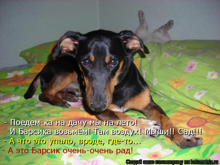 - Поедем-ка на дачу мы на лето! И Барсика возьмём! Там воздух! Мыши!! Сад!!! - А что это упало, вроде... Котоматрица: - Поедем-ка на дачу мы на лето! И Барсика возьмём! Там воздух! Мыши!! Сад!!! - А что это упало, вроде, где-то..… - А это Барсик очень-очень рад!