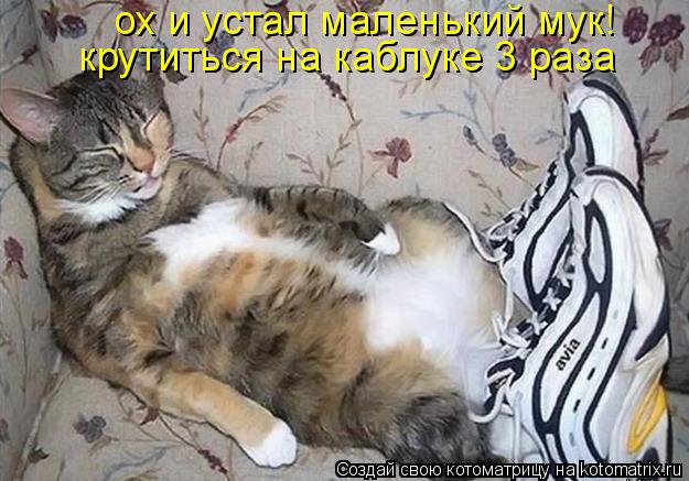 ох и устал маленький мук! крутиться на каблуке 3 раза... Котоматрица: ох и устал маленький мук! крутиться на каблуке 3 раза