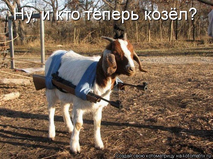 Ну, и кто теперь козёл?... Котоматрица: Ну, и кто теперь козёл?
