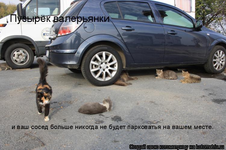 Пузырёк валерьянки и ваш сосед больше никогда не будет парковатья на вашем месте.... Котоматрица: Пузырёк валерьянки и ваш сосед больше никогда не будет парковатья на вашем месте.