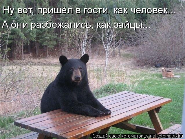 Ну вот, пришёл в гости, как человек... А они разбежались, как зайцы...... Котоматрица: Ну вот, пришёл в гости, как человек... А они разбежались, как зайцы...
