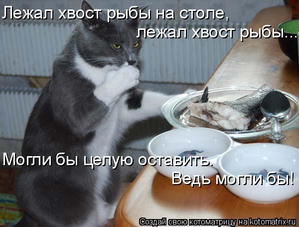 Лежал хвост рыбы на столе, лежал хвост рыбы... Могли бы целую оставить. Ведь могли бы!... Котоматрица: Лежал хвост рыбы на столе, лежал хвост рыбы... Могли бы целую оставить. Ведь могли бы!