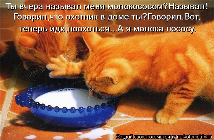Ты вчера называл меня молокососом?Называл! Говорил,что охотник в доме ты?Говорил.Вот, теперь иди,поох... Котоматрица: Ты вчера называл меня молокососом?Называл! Говорил,что охотник в доме ты?Говорил.Вот, теперь иди,поохоться...А я молока пососу.