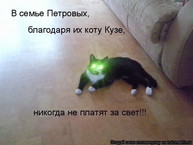 Котоматрица: В семье Петровых,  благодаря их коту Кузе,  никогда не платят за свет!!!