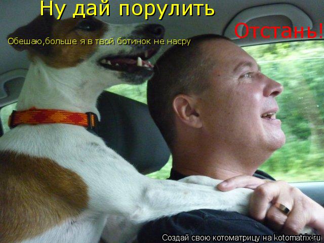 Котоматрица: Ну дай порулить Отстань! Обешаю,больше я в твой ботинок не насру