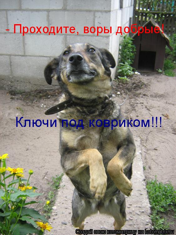 - Проходите, воры добрые! Ключи под ковриком!!!... Котоматрица: - Проходите, воры добрые! Ключи под ковриком!!!