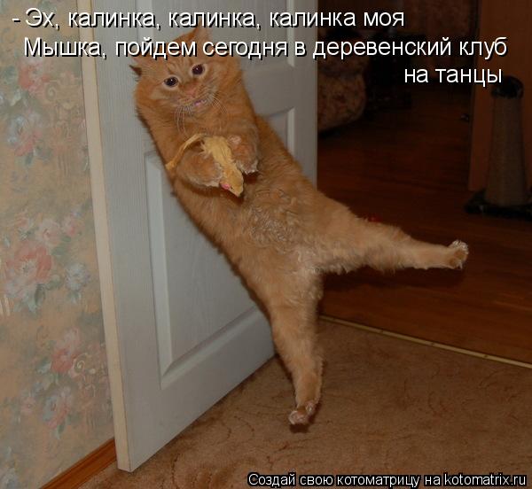 - Эх, калинка, калинка, калинка моя Мышка, пойдем сегодня в деревенский клуб на танцы... Котоматрица: - Эх, калинка, калинка, калинка моя Мышка, пойдем сегодня в деревенский клуб на танцы
