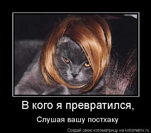 В кого я превратился, Слушая вашу постхаку... Котоматрица: В кого я превратился, Слушая вашу постхаку