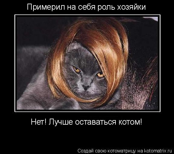 Примерил на себя роль хозяйки Нет! Лучше оставаться котом!... Котоматрица: Примерил на себя роль хозяйки Нет! Лучше оставаться котом!