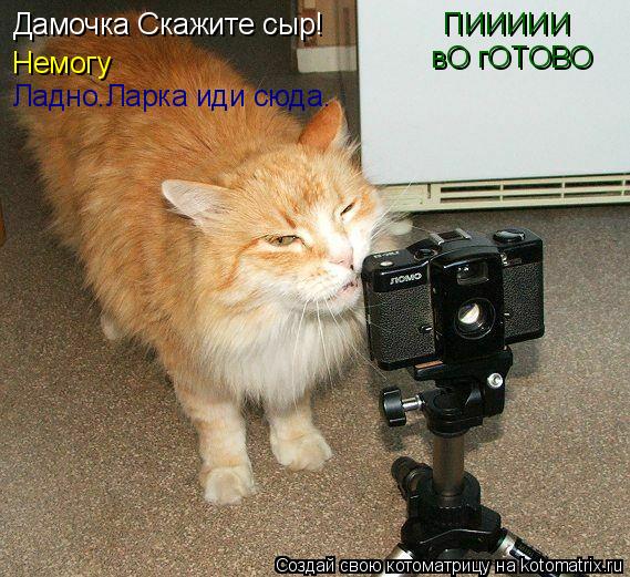 Дамочка Скажите сыр! Немогу Ладно.Ларка иди сюда. ПИИИИИ вО гОТОВО... Котоматрица: Дамочка Скажите сыр! Немогу Ладно.Ларка иди сюда. ПИИИИИ вО гОТОВО