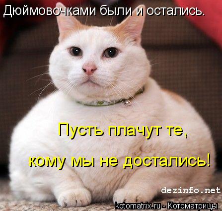 Дюймовочками были и остались. Пусть плачут те, кому мы не достались!... Котоматрица: Дюймовочками были и остались. Пусть плачут те, кому мы не достались!