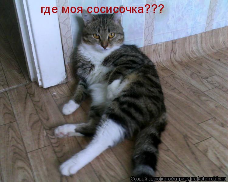 Котоматрица: где моя сосисочка???
