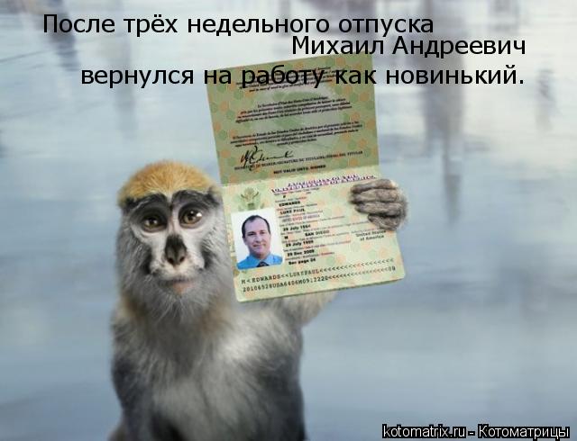 После трёх недельного отпуска Михаил Андреевич вернулся на работу как новинький.... Котоматрица: После трёх недельного отпуска Михаил Андреевич вернулся на работу как новинький.
