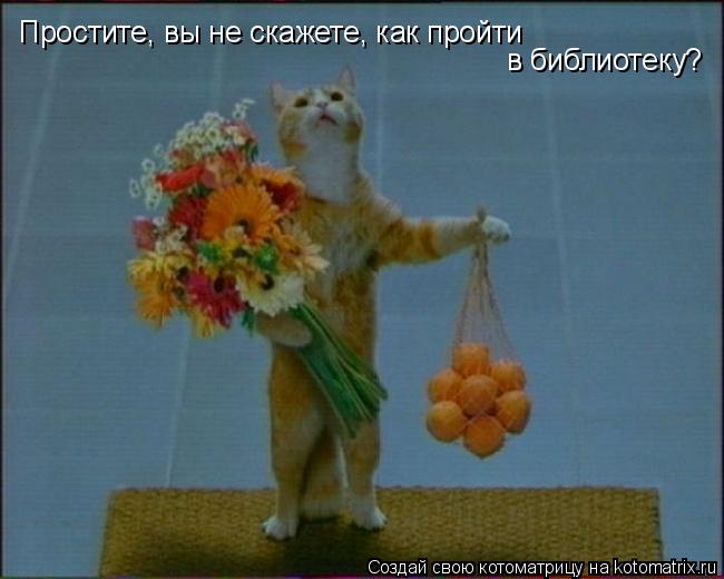 Простите, вы не скажете, как пройти в библиотеку?... Котоматрица: Простите, вы не скажете, как пройти в библиотеку?