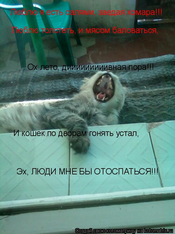 Ох лето, дииииииииивная пора!!! Люблю я есть салями, заедая комара!!! Люблю толстеть, и мясом баловат... Котоматрица: Ох лето, дииииииииивная пора!!! Люблю я есть салями, заедая комара!!! Люблю толстеть, и мясом баловаться, И кошек по дворам гонять устал, Эх, ЛЮ