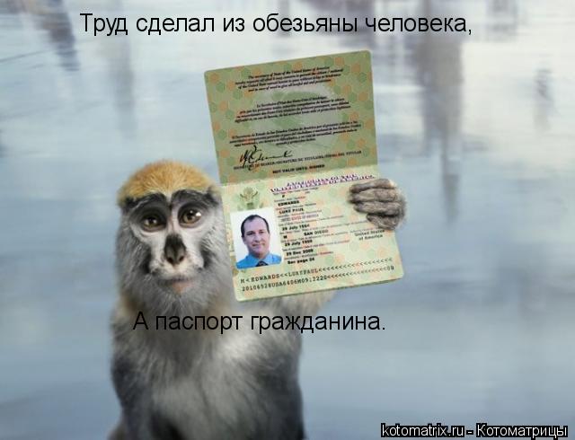 Труд сделал из обезьяны человека, А паспорт гражданина.... Котоматрица: Труд сделал из обезьяны человека, А паспорт гражданина.