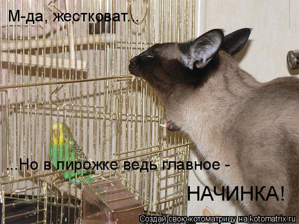 М-да, жестковат... ...Но в пирожке ведь главное - НАЧИНКА!... Котоматрица: М-да, жестковат... ...Но в пирожке ведь главное - НАЧИНКА!