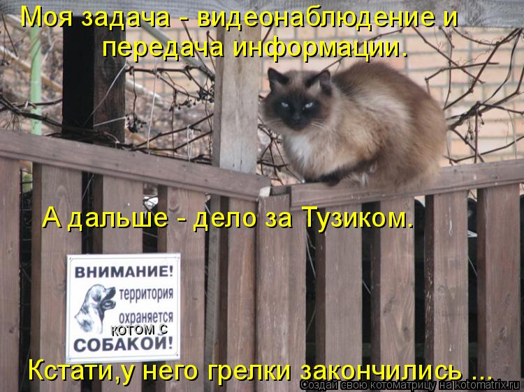 котом с Моя задача - видеонаблюдение и передача информации. А дальше - дело за Тузиком. Кстати,у него... Котоматрица: котом с Моя задача - видеонаблюдение и передача информации. А дальше - дело за Тузиком. Кстати,у него грелки закончились ...