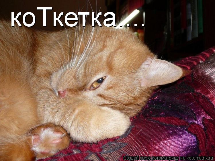 коТкетка....... Котоматрица: коТкетка....