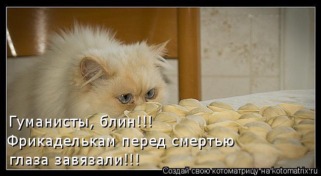 глаза завязали!!! Гуманисты, блин!!! Фрикаделькам перед смертью... Котоматрица: глаза завязали!!! Гуманисты, блин!!! Фрикаделькам перед смертью