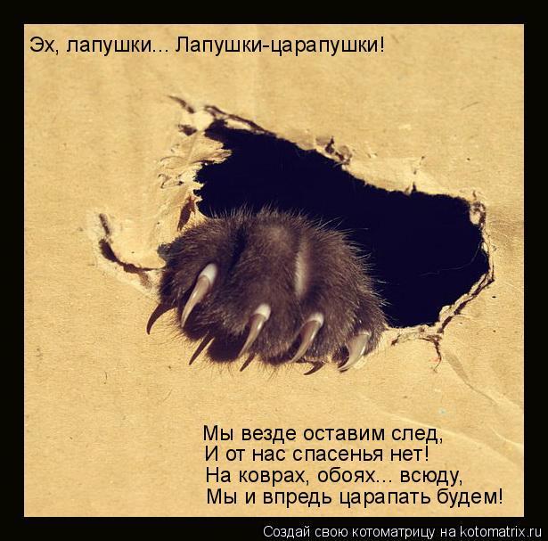 Котоматрица: Эх, лапушки... Лапушки-царапушки! Мы и впредь царапать будем! На коврах, обоях... всюду, И от нас спасенья нет! Мы везде оставим след,