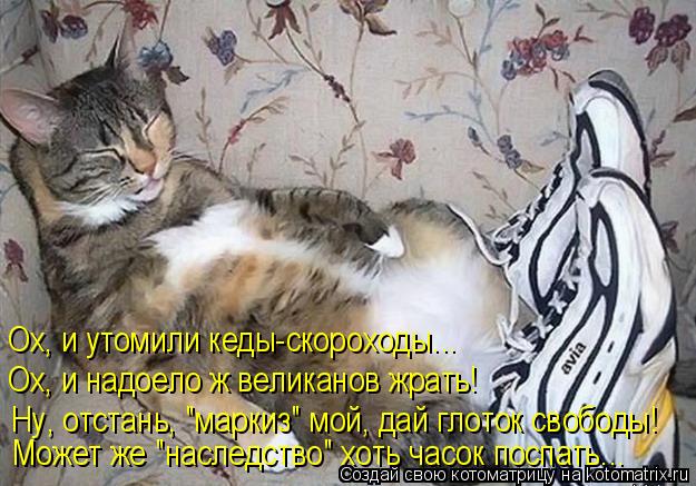 Ох, и утомили кеды-скороходы..… Ох, и надоело ж великанов жрать! Ну, отстань, "маркиз" мой, дай глот... Котоматрица: Ох, и утомили кеды-скороходы..… Ох, и надоело ж великанов жрать! Ну, отстань, "маркиз" мой, дай глоток свободы! Может же "наследство" хоть часок