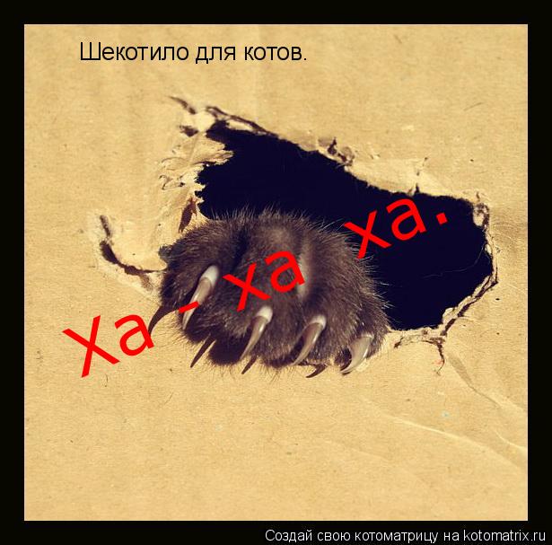 Котоматрица: Шекотило для котов. Ха - ха  ха.