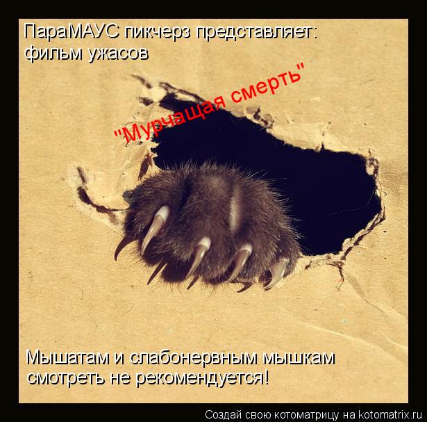 Котоматрица: ПараМАУС пикчерз представляет:  фильм ужасов "Мурчащая смерть" Мышатам и слабонервным мышкам  смотреть не рекомендуется!