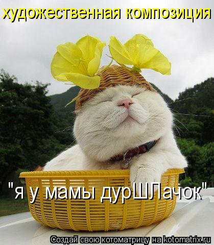 "я у мамы дурШЛачок" художественная композиция... Котоматрица: "я у мамы дурШЛачок" художественная композиция