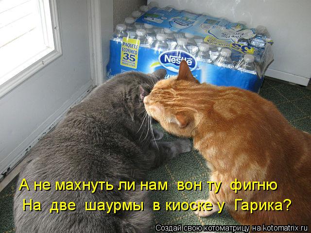 А не махнуть ли нам вон ту фигню На две шаурмы в киоске у Гарика?... Котоматрица: А не махнуть ли нам вон ту фигню На две шаурмы в киоске у Гарика?