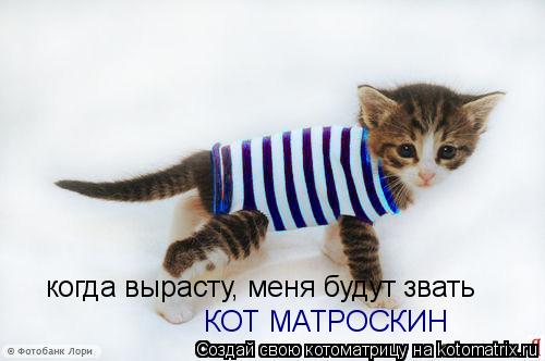 когда вырасту, меня будут звать КОТ МАТРОСКИН... Котоматрица: когда вырасту, меня будут звать КОТ МАТРОСКИН