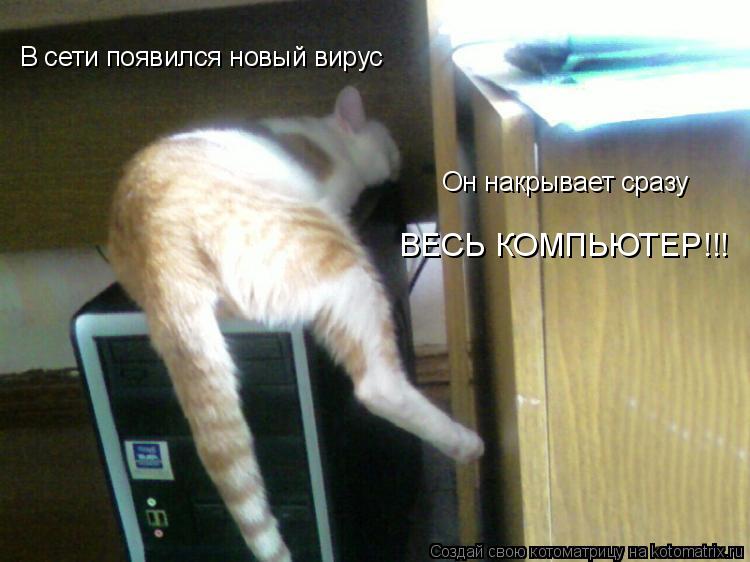 В сети появился новый вирус Он накрывает сразу ВЕСЬ КОМПЬЮТЕР!!!... Котоматрица: В сети появился новый вирус Он накрывает сразу ВЕСЬ КОМПЬЮТЕР!!!
