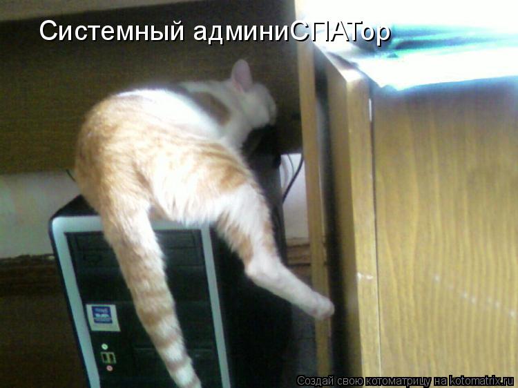 Системный админиСПАТор... Котоматрица: Системный админиСПАТор