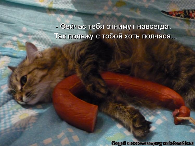 - Сейчас тебя отнимут навсегда. Так полежу с тобой хоть полчаса...... Котоматрица: - Сейчас тебя отнимут навсегда. Так полежу с тобой хоть полчаса...