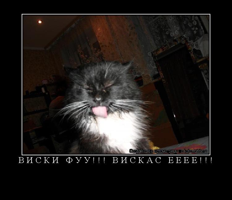Котоматрица: виски фуу!!! вискас ееее!!! 