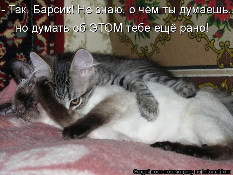 Котоматрица: - Так, Барсик! Не знаю, о чём ты думаешь.... но думать об ЭТОМ тебе ещё рано!