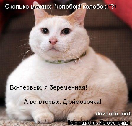 Сколько можно: "колобок! колобок!"?! Во-первых, я беременная! А во-вторых, Дюймовочка!... Котоматрица: Сколько можно: "колобок! колобок!"?! Во-первых, я беременная! А во-вторых, Дюймовочка!