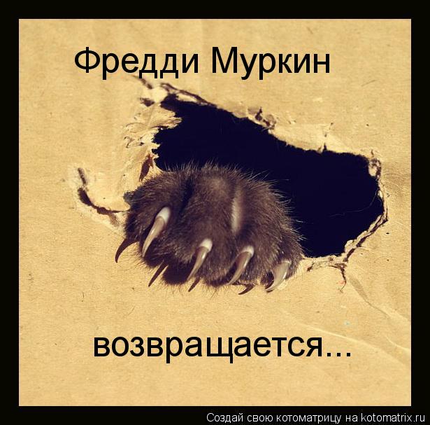 Фредди Муркин возвращается...... Котоматрица: Фредди Муркин возвращается...
