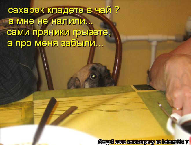 сахарок кладете в чай ? а мне не налили... сами пряники грызете, а про меня забыли...... Котоматрица: сахарок кладете в чай ? а мне не налили... сами пряники грызете, а про меня забыли...