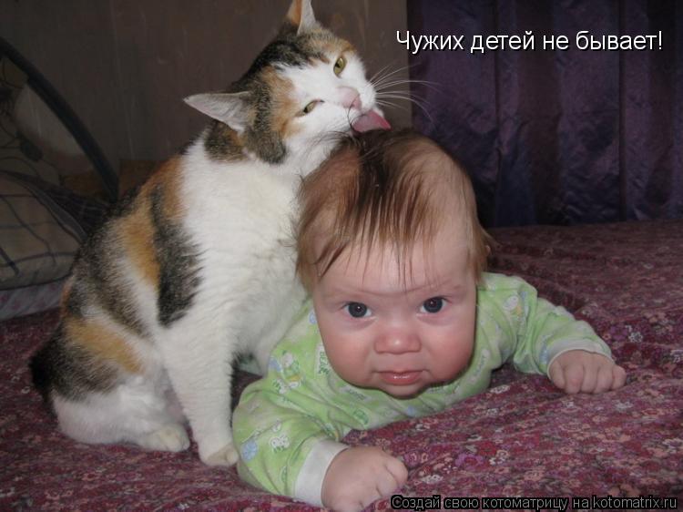 Чужих детей не бывает!... Котоматрица: Чужих детей не бывает!