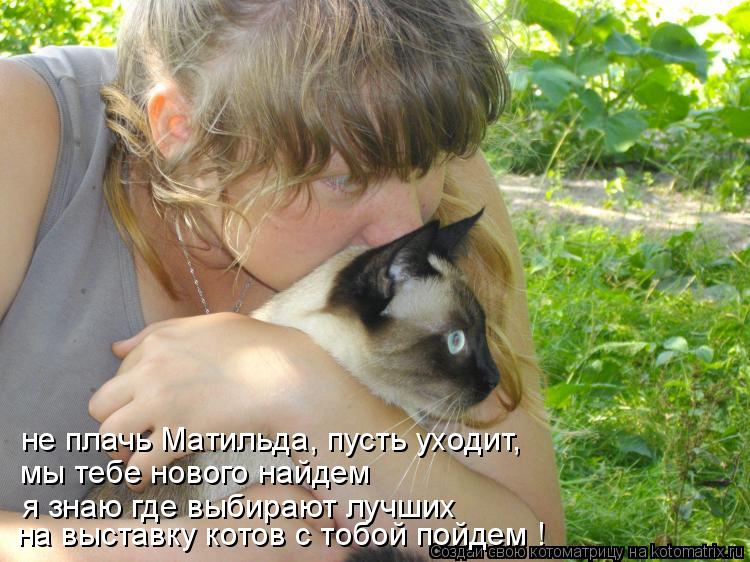 не плачь Матильда, пусть уходит, мы тебе нового найдем я знаю где выбирают лучших на выставку котов с... Котоматрица: не плачь Матильда, пусть уходит, мы тебе нового найдем я знаю где выбирают лучших на выставку котов с тобой пойдем !