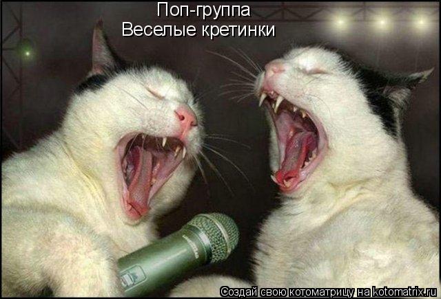 Поп-группа «Веселые кретинки»... Котоматрица: Поп-группа «Веселые кретинки»