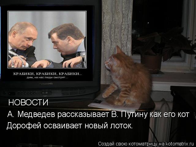 А. Медведев рассказывает В. Путину как его кот Дорофей осваивает новый лоток. НОВОСТИ... Котоматрица: А. Медведев рассказывает В. Путину как его кот Дорофей осваивает новый лоток. НОВОСТИ