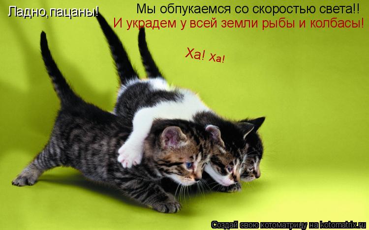 Ладно,пацаны! Мы обпукаемся со скоростью света!! И украдем у всей земли рыбы и колбасы! Ха! Ха!... Котоматрица: Ладно,пацаны! Мы обпукаемся со скоростью света!! И украдем у всей земли рыбы и колбасы! Ха! Ха!
