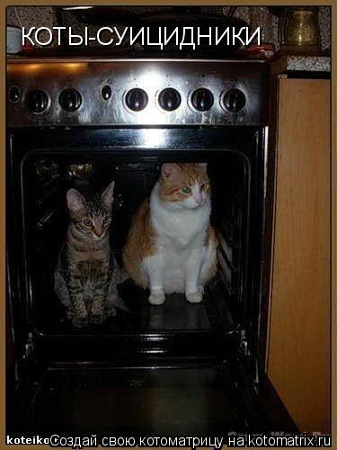 КОТЫ-СУИЦИДНИКИ... Котоматрица: КОТЫ-СУИЦИДНИКИ