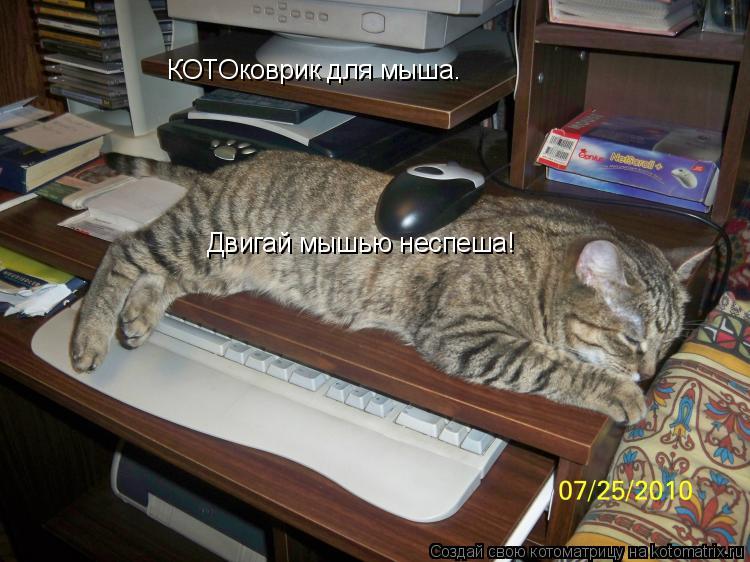 КОТОковрик для мыша. Двигай мышью неспеша!... Котоматрица: КОТОковрик для мыша. Двигай мышью неспеша!