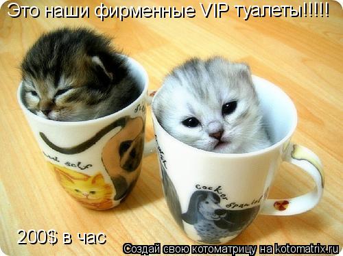 Это наши фирменные VIP туалеты!!!!! 200$ в час... Котоматрица: Это наши фирменные VIP туалеты!!!!! 200$ в час